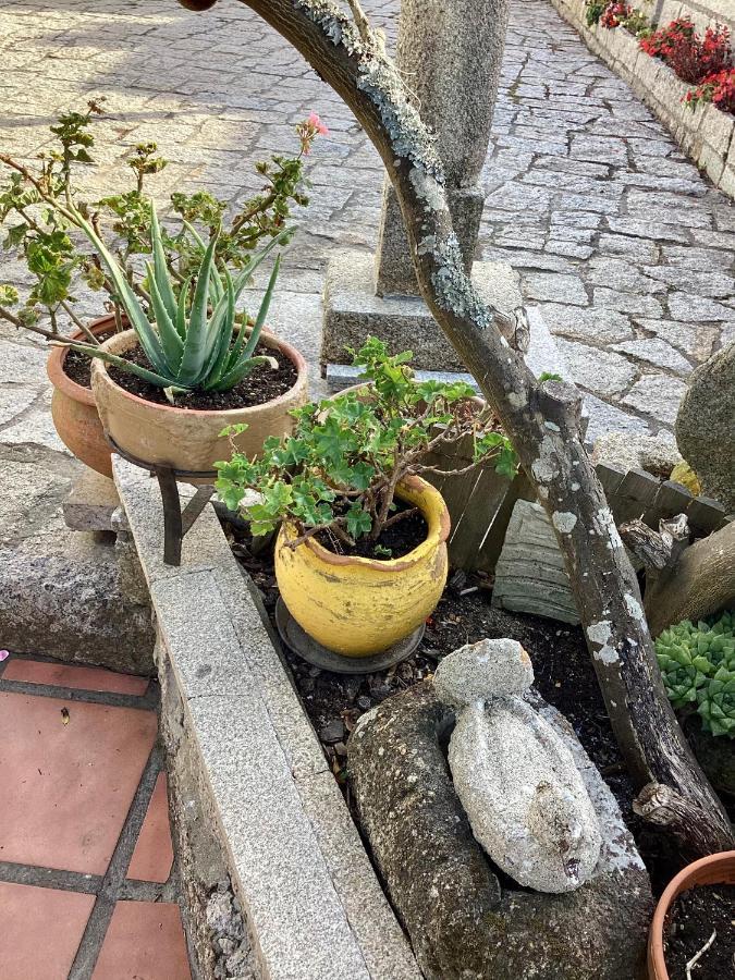 Ático con terraza Apartamento O Grove Exterior foto